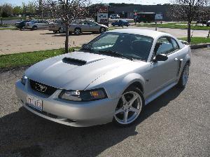 Mustang 028.jpg
